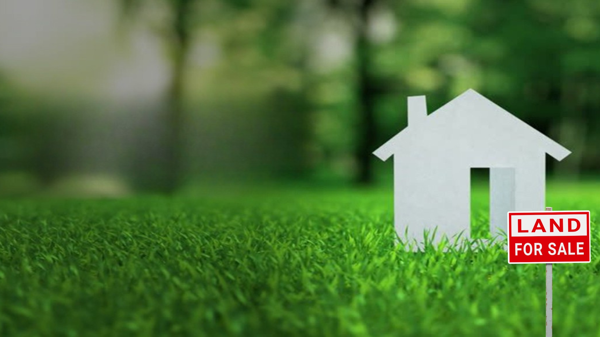 recedential and commercial plots in gonda city
